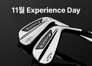 익스피리언스 데이 11월